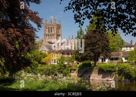 Regno Unito, Herefordshire, Hereford, Cattedrale dall'altra parte del fiume Wye Foto Stock