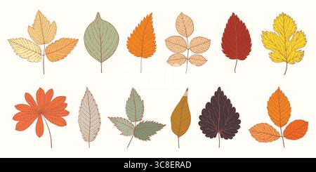 Collezione di foglie d'autunno disegnata a mano. Set di schizzi botanici vintage Fall Leaves. Contorno di foglie e fogliame per l'autunno, con incisioni dettagliate Illustrazione Vettoriale