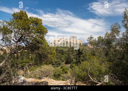Vista dell'Acropoli attraverso rami di Bush, Atene Foto Stock