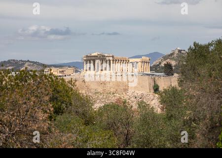 Vista dell'Acropoli attraverso rami di Bush, Atene Foto Stock
