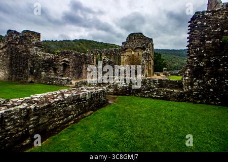 Le rovine dell'abbazia di Tintern in Galles alla luce del mattino presto in un giorno tempestoso coperto Foto Stock