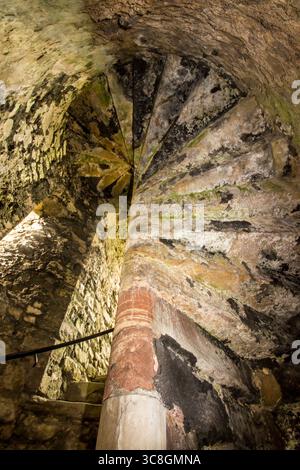 Guardando in alto alla base della scala a chiocciola di una delle torri del castello di Chepstow in Galles, che si piega verso l'alto. Foto Stock