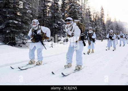 27 gennaio 2021 - Joint base Elmendorf-Richardson, Alaska, USA - paracadutisti dell'esercito assegnati a Headquarters and Headquarters Company, 1st Battalion, 501st Parachute Infantry Regiment, 4th Infantry Brigade Combat Team (Airborne), 25th Infantry Division, U.S. Army Alaska, tenere una corda assicurata sul retro del Small Unit Sustainment Vehicle durante un esercizio di skijoring presso Joint base Elmendorf-Richardson, Alaska, 27 2021. L'addestramento ha valutato le abilità di soldato artico di più squadre di 1 paracadutisti Geronimo per selezionare il gruppo migliore per competere nell'imminente USARAK Arctic Winter Foto Stock