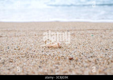 Amore senza fine, anelli sullo sfondo del mare. Romanticismo, sfondo con posto per un'iscrizione. Tessera nuziale Foto Stock