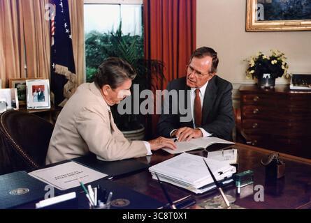 Il Presidente degli Stati Uniti Ronald Reagan e il Vice Presidente degli Stati Uniti George H.W. Bush che lavorano presso l'Oval Office, Casa Bianca, Washington, D.C., USA, David Valdez, fotografo della Casa Bianca, 20 luglio 1984 Foto Stock