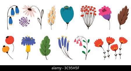 Collezione botanica disegnata a mano con fiori colorati e foglie. Sfoggia elementi naturali in stile giocoso con fiori, baccelli e fogliame vivaci Illustrazione Vettoriale