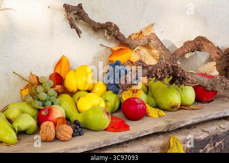 varietà di frutta matura sul legno. raccolta autunnale composizione rustica. cibo biologico rurale nella stagione autunnale. applicabile come background di ringraziamento Foto Stock