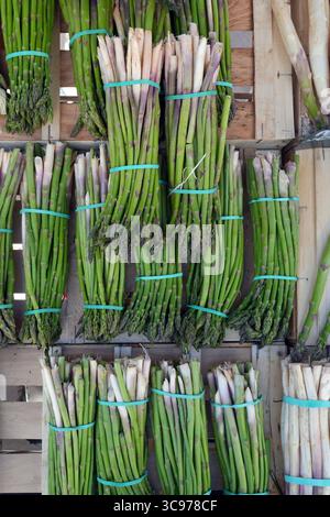 Mazzi di asparagi bianchi con punte viola e asparagi verdi in un mercato agricolo francese Foto Stock