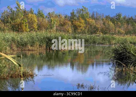 25 ottobre 2021, Girona, Spagna: Vaste paludi o marismi e vie navigabili Parc Natural dels Aiguamolls de l'Emporda Girona Catalunya Spagna (Credit Image: © Sergi Reboredo/ZUMA Press Wire) Foto Stock