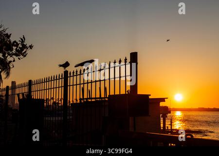 Un suggestivo tramonto sull'acqua calma, con uccelli appollaiati su una recinzione di ferro decorativa, sagomati contro un vivace cielo arancione Foto Stock