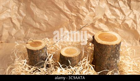 Tre podi di legno vuoti e pampas su sfondo beige. Design monocromatico. Per la presentazione di cosmetici. Foto di alta qualità Foto Stock