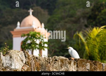 11 marzo 2016, Portobelo, Provincia del Colon, Panama: Una grande Egret si trova sul muro del forte San Geronimo con la Chiesa di San Felipe, la Chiesa del Cristo Nero, sullo sfondo a Portobelo, Panama. Sito patrimonio dell'umanità dell'UNESCO. (Immagine di credito: © Jon G. Fuller / Vwpics/VW Pics via ZUMA Press Wire) Foto Stock