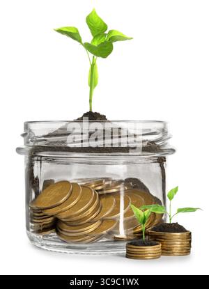 Concetto di risparmio. Monete e germogli su sfondo bianco Foto Stock