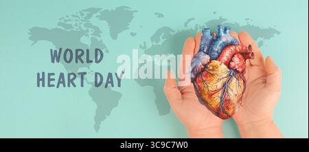 Infarto, malattia della miocardite, infiammazione del muscolo, trombosi e stress cardiaco, mani che tengono l'organo umano Foto Stock