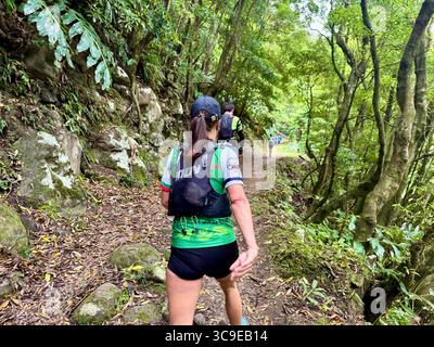 Partecipanti che corrono attraverso un sentiero forestale durante l'evento Trail Run Real Priolo, Azzorre, Portogallo. Foto Stock