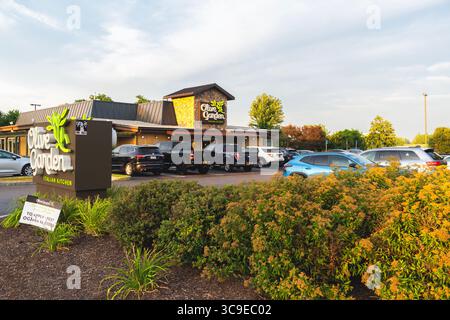 DeWitt, New York - 30 luglio 2025: View of Olive Garden, è una grande catena di ristoranti a tema italiano e una divisione di Darden Restaurants, che possiede oltre 1900 ristoranti Foto Stock