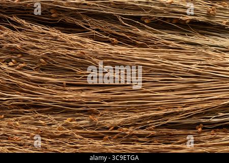 Sfondo Wicker. Consistenza dell'erba secca. Primo piano Foto Stock