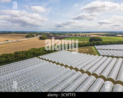 Veduta aerea dei polictunnel della deliziosa fattoria di fragole Annabelle a Leeds. L'impianto di coltivazione di fragole su larga scala utilizza un'ampia serra Foto Stock