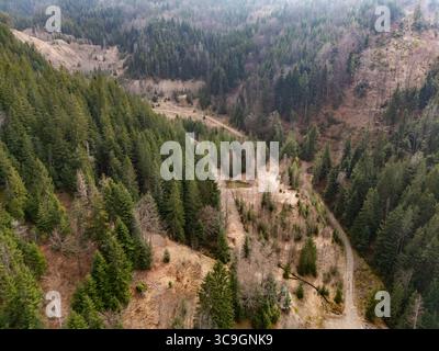 Vista aerea di un sentiero tortuoso che attraversa fitte foreste sempreverdi, un arazzo di verdi profondi e marroni terrosi, Piesky, regione di Banská Bystrica, Slovacchia. Foto Stock