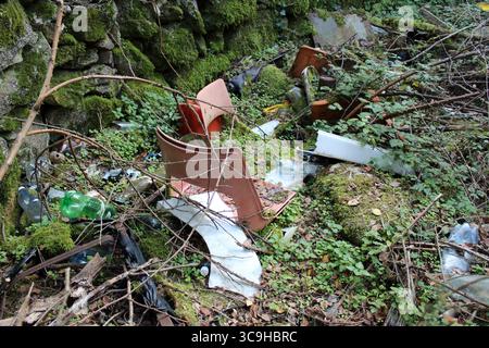 Bottiglie di plastica scartate e sedie rotte straripano il pavimento della foresta, circondato da bramole, felci e pteridium aquilinum Foto Stock