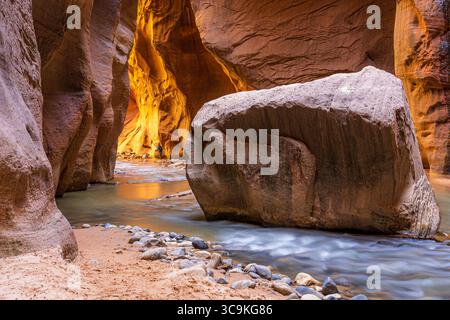 Il Virgin River scorre attraverso il Narrows, un famoso canyon nel Zion National Park, Utah. La scena serena ispira stupore. Foto Stock