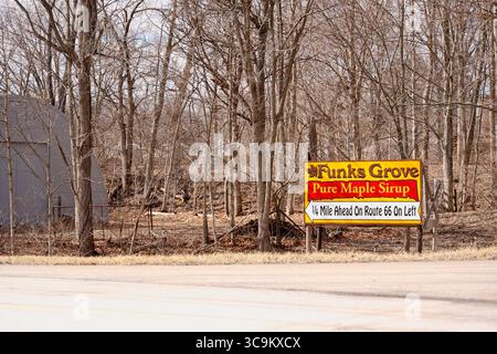 17 febbraio 2023, Funks Grove, Illinois, Stati Uniti: Lungo la storica Route 66 (la strada madre) tra Bloomington e McLean Illinois, il vecchio legname di Funks Grove lascia il posto a una nuova crescita e i secchi di raccolta galvanizzati in argento lasciano il posto a nuovi metodi di utilizzo di tubi e pompe per raccogliere la linfa dagli aceri. Nonostante i cambiamenti ambientali e di processo, la tradizione di produrre sciroppo d'acero ogni primavera continua. (Immagine di credito: © Alan Look/ZUMA Press Wire) Foto Stock
