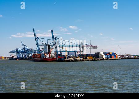 Rotterdam, Paesi Bassi, 19.04.2023 - Porto di Rotterdam caricamento di navi container con gru Foto Stock