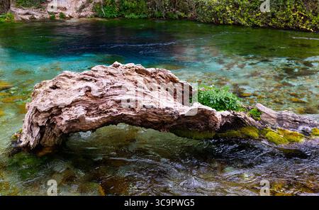 Vista della sorgente d'acqua Blue Eye, Albania Foto Stock