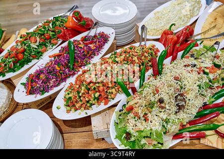 Una colorata esposizione di insalate fresche con una varietà di verdure, erbe aromatiche e condimenti su piatti organizzati per una vibrante esperienza culinaria Foto Stock