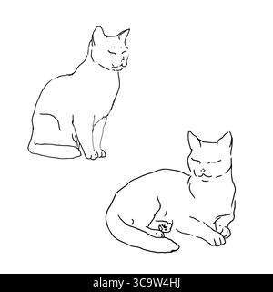 Gatti in pose diverse, schizzi di inchiostro bianco e nero. Illustrazione vettoriale. Il set di silhouette è realizzato in uno stile semplice e lineare, su un modello bianco Illustrazione Vettoriale