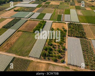 Vista aerea dei terreni agricoli coltivati con vigneti, frutteti e reti da serra protettive. Tracciati rettangolari curati formano un'agricoltura colorata Foto Stock
