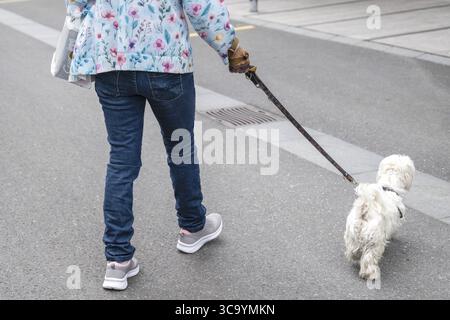 Donna con cane in testa, Interlaken, Berna, Svizzera Foto Stock