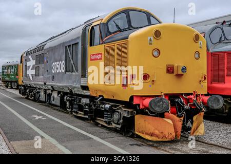 Derby, Regno Unito - 3 agosto 2025: The Greatest Gathering Rail 200 Exhibition at Alstom Litchurch Lane Works - British Rail Class 37 loco 37 508 Foto Stock