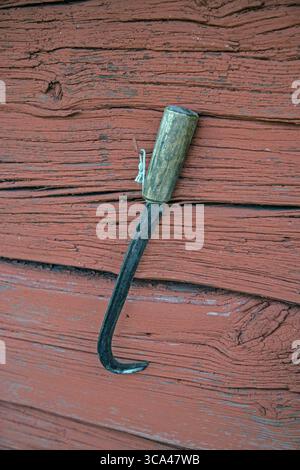 Una fetta è appesa su un muro di legno rosso. Foto Stock