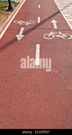 Almeria, Spagna - 25 maggio 2025: La pista ciclabile presenta frecce direzionali e simboli ciclabili su un marciapiede rosso incrinato, circondato da erba verde e urbano Foto Stock