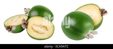 Feijoa isolato su fondo bianco Foto Stock