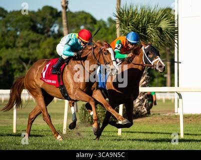 11 marzo 2023, Tampa Bay, Florida, Stati Uniti: Marzo, 2023: mission of Joy #1 guidata dal fantino Antonio Gallardo vince i Florida Oaks (Grade 3) a Tampa Bay Downs a Tampa, Florida, l'11 marzo 2023. Carson Blevins/Eclipse Sportswire/CSM (immagine di credito: © Carson Blevins/Eclipse Sportswir/CSM tramite ZUMA Press Wire) Foto Stock