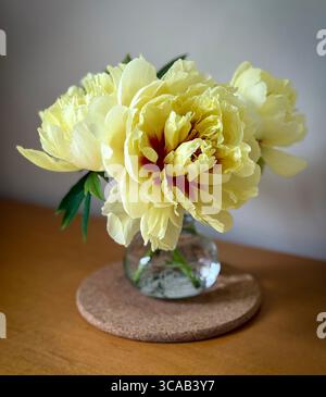 Peonie gialle fresche in vaso di vetro su tavola di legno, semplice natura morta floreale Foto Stock