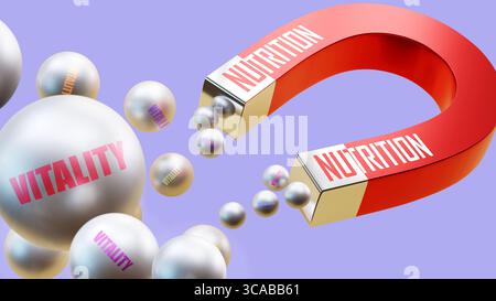 Nutrizione che attrae la vitalità. Una metafora magnetica in cui la nutrizione attrae vitalità. Foto Stock