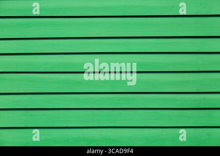 Sfondo in legno pastello di colore verde. Sfondo astratto in legno Foto Stock