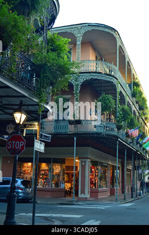 Felci e piante pendono dalle ringhiere di ferro ornate dei balconi nel quartiere francese di New Orleans Foto Stock