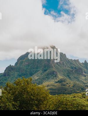Il Monte Rotui sorge sulla lussureggiante Isola di Moorea nella Polinesia francese. Foto Stock