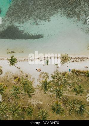Vista aerea della spiaggia tropicale con acque turchesi sull'isola di Moorea, Tahiti. Foto Stock