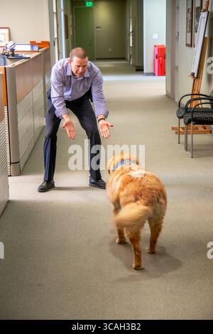 31 luglio 2019: Indossando la sua giacca ufficiale, un cane di conforto interagisce con il personale del dipartimento di polizia a Hawthorne, CA. (Credito immagine: © Spencer Grant/ZUMA Press Wire) Foto Stock