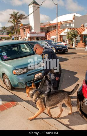 20 agosto 2017, Laguna Beach, California: Prima di una manifestazione politica a Laguna Beach, CALIFORNIA, un cane da caccia esplosivo viene utilizzato dalla polizia per ispezionare le auto parcheggiate sulla Pacific Coast Highway. (Immagine di credito: © Spencer Grant/ZUMA Press Wire) Foto Stock