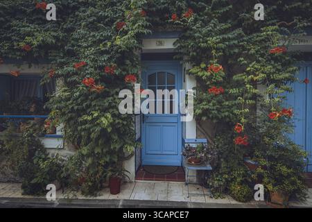 La vista di una porta blu vibrante circondata da lussureggianti vigneti verdi e fiori rossi luminosi crea un'affascinante e invitante entrata, Gruissan, Occitanie, Francia. Foto Stock