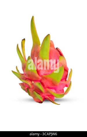 Frutta fresca di drago ( Pitaya ) isolata su sfondo bianco Foto Stock