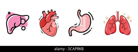 Illustrazioni cartoon degli organi umani: Fegato, cuore, stomaco e polmoni Illustrazione Vettoriale