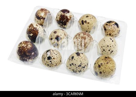 Dodici uova di quaglia fresche in un contenitore protettivo di plastica per Pasqua. Isolato su bianco con patch studio macro Foto Stock