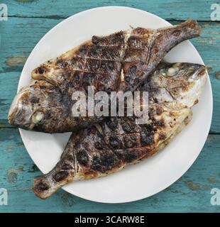 Due pesci Dorado grigliati giacciono su un piatto bianco in ceramica. Tavola verde in legno invecchiata rurale incrinata. Ripresa dall'alto per esterni Foto Stock